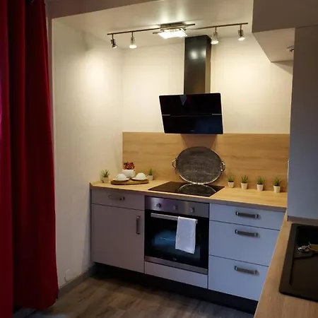 Du Vieux Chateau Jardin & Parking Gratuit Apartment *