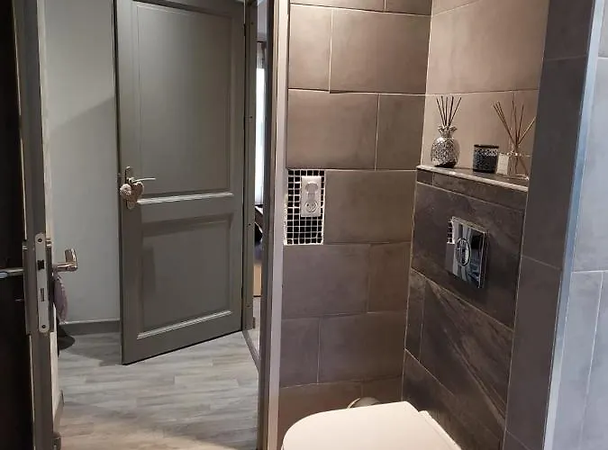 Apartment Du Vieux Chateau Jardin & Parking Gratuit Mulhouse