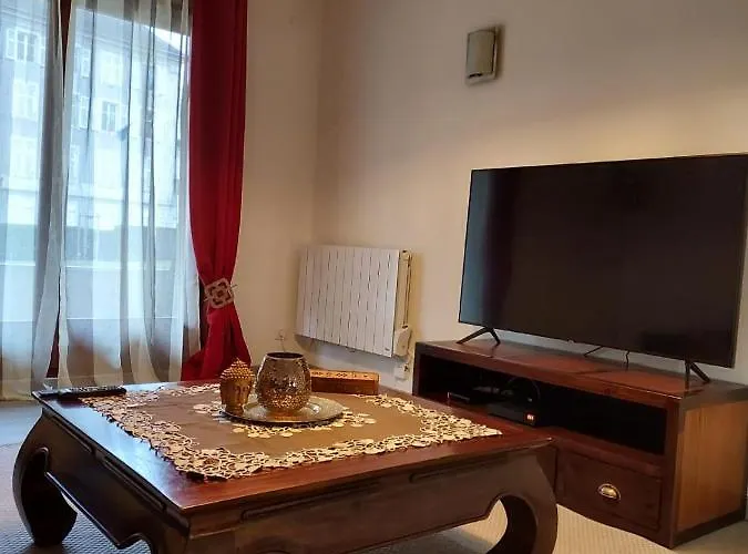 Du Vieux Chateau Jardin & Parking Gratuit Mulhouse